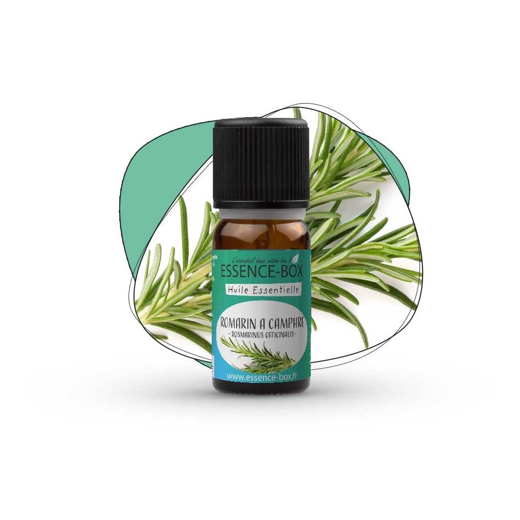 Organic Camphor Rosemary