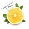 White Grapefruit Essential Oil Sheet