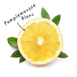 Fiche HE "Pamplemousse blanc"