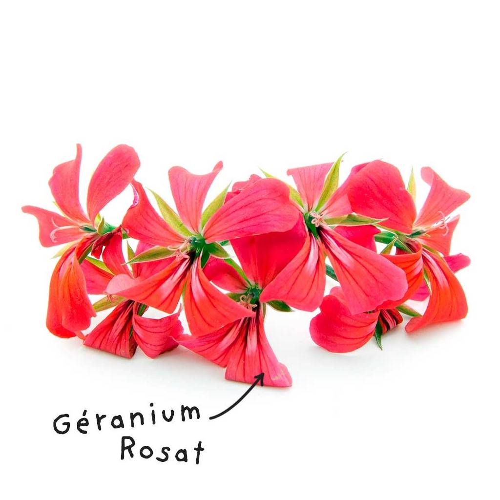 Blad Geranium Rosat etherische olie