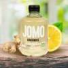 Citronnade Glacée Gingembre BIO - Date dépassée