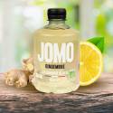 Citronnade Glacée Gingembre BIO - Date dépassée