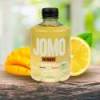 Citronnade Glacée Mangue BIO - Date dépassée