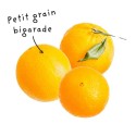 Petit Grain Bigarade essential oil sheet