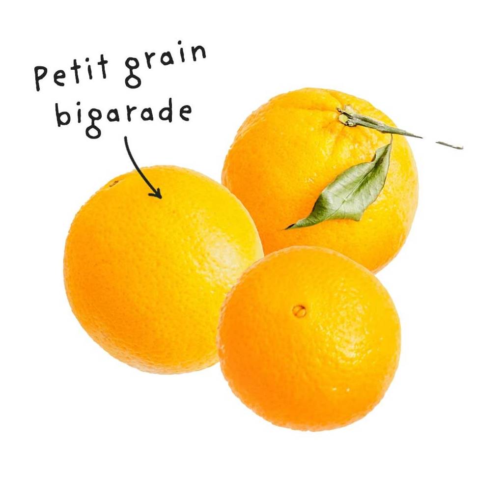 Petit Grain Bigarade essential oil sheet