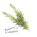 Sheet Rosemary essential oil with Camphor