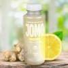 Citronnade Glacée Gingembre BIO