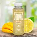 Citronnade Glacée Mangue BIO