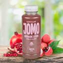 Maté Glacé Grenade Litchi BIO