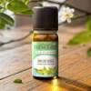 Huile essentielle ravintsara BIO 10 ml