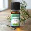 Organic Tea Tree