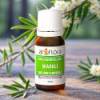 Huile Essentielle Niaouli BIO