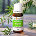 Huile Essentielle Niaouli BIO