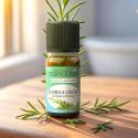 Huile essentielle romarin à camphre BIO 10 ml