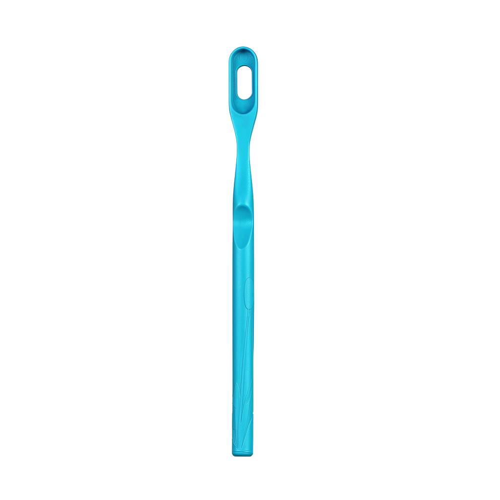 Manche Brosse à dents écologique