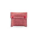 Soap case