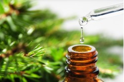 Synergies of essential oils