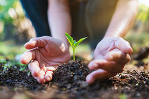 Personne-qui-plante-un-arbre