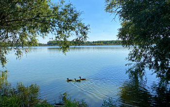 La vue sur le marais du Grand Clair de Palluel