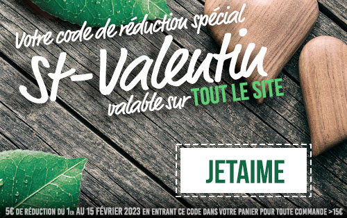 Valentinstag-promo-code-valid-on-the-site-essence-box.jpg