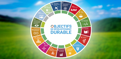 Europese Week van Duurzame Ontwikkeling Essence Box