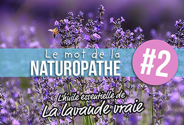 L'huile essentielle de Lavande Vraie Essence Box