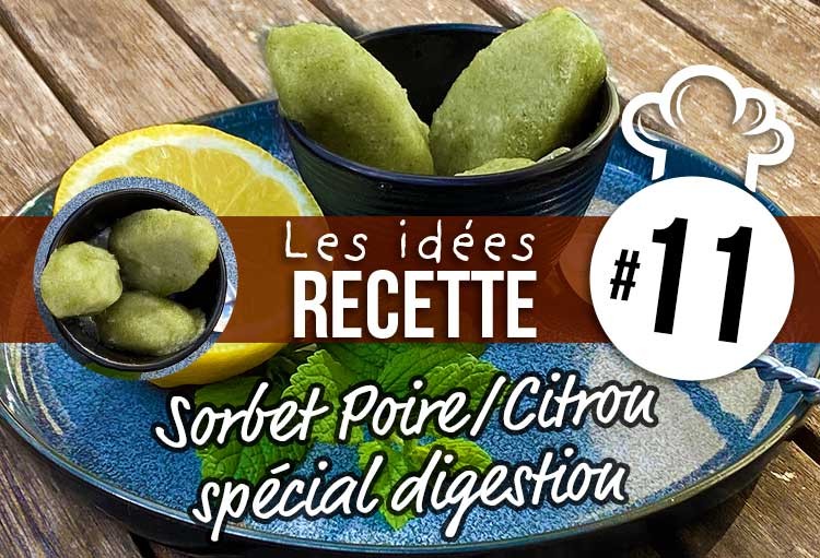 Rezept Nr. 11: Birnensorbet mit Digestion Mix Essence Box