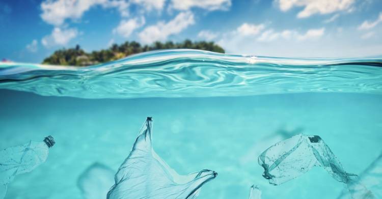 Wereld Plastic Zakkenvrije Dag 2022 Essence Box