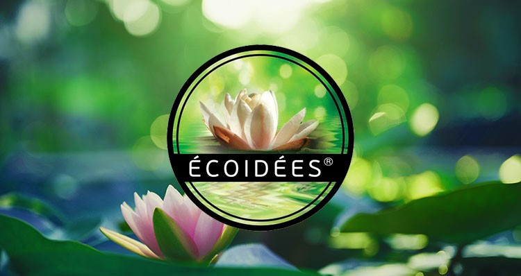 Écoidées presentation Essence Box