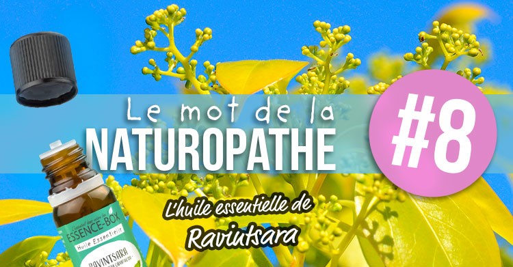 LMN#8: Ravintsara essential oil