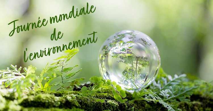 World Environment Day: a call to action for the planet Essence Box