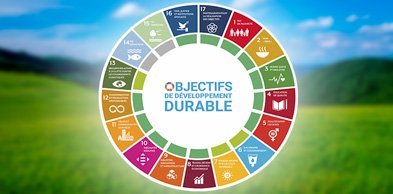 Europese Week van Duurzame Ontwikkeling Essence Box